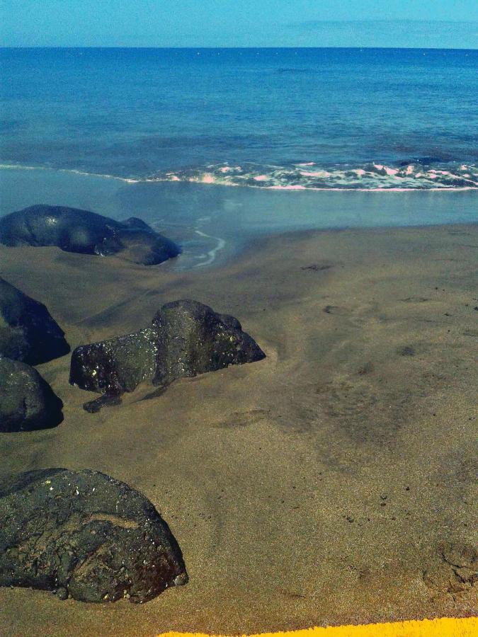 Apartamento A 1 Minuto De La Playa De Sardina Las Palmas de Gran Canaria Dış mekan fotoğraf